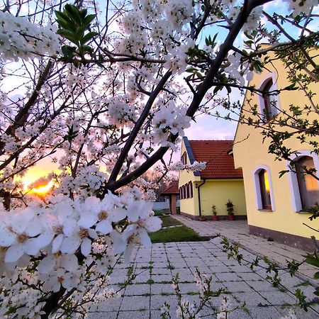 Idylicky Rodinny Penzion Arkadia Pri Dunajskej Cyklotrase Kyselica Luaran gambar